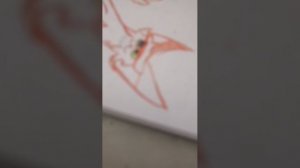 Рисую Рыжика коты-воители (2)