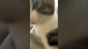 2️⃣0️⃣2️⃣6️⃣❄️❄️❄️❄️