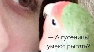 15минут прото хожу по кругу