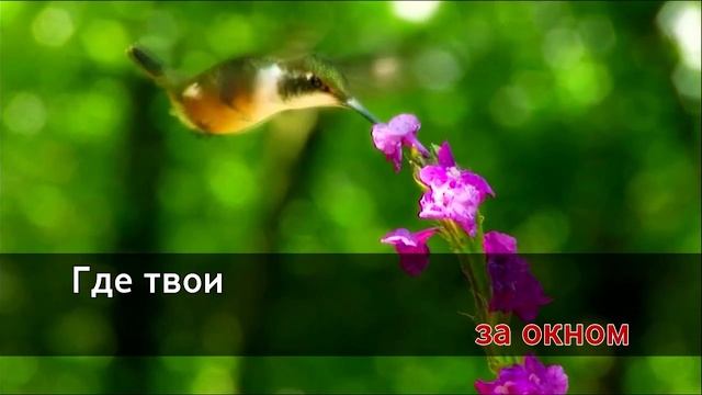 Песня «уголок России» смотреть онлайн