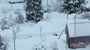 Бюджетный ремонт комнаты . Живём в деревне .