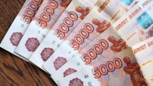 В Общественной палате указали на увеличение МРОТ на 20,7% в 2026 году