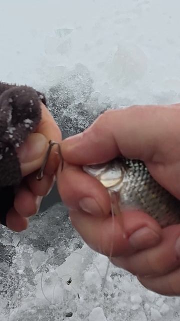 Зимняя рыбалка смотреть онлайн