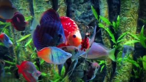 Хрум-Хрумкают🤤