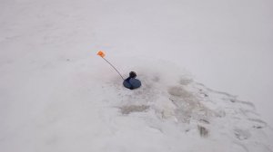 пробили дорогу до реки