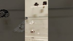 Любимый Эрмитаж, часть 4: кабинеты