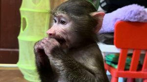 Влад не заходит домой, сидит на улице, а эти два ребятенка уже не знают как к нему достучаться)))