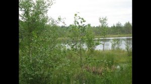 Рок-Острова - Называют меня не красивою (Плотское озеро)