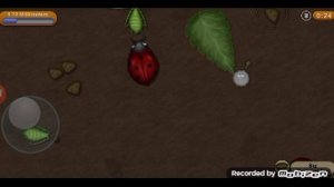 Играем в Tasty Planet Lite! 1 часть