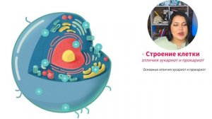 Цитология| ЕГЭ 2026| Биология