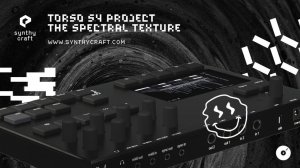 Torso Electronics S-4: Spectral Texture
