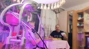 Провожаем старый новый год 🎄🎄🎄