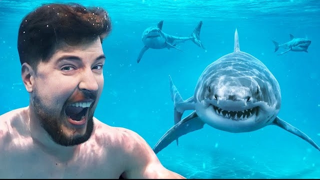 Поплавал бы с акулами за 100 000$ ? смотреть онлайн