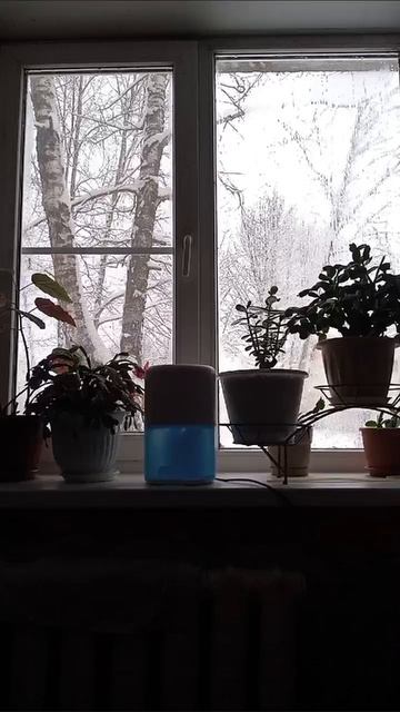 31-12-2025 всех с новым годом. спасибо за подарки и за Дони. подарков в этом году много смотреть онлайн