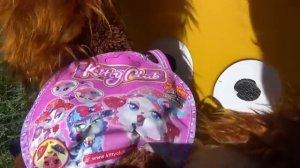 Игрушки и Новые приключения Насти в поисках сюрпризов