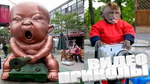 ВИДЕОПРИКОЛЫ \ КРУТЫЕ ПРИКОЛЫ 2025 \ НОВЫЕ ПРИКОЛЫ \ СМЕШНЫЕ ПРИКОЛЫ 2025 ЮМОР