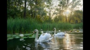 Project 8 АЛИНА СОЛНЕЧНЫЙ ЦВЕТОЧЕК МОЕЙ ДУШИ