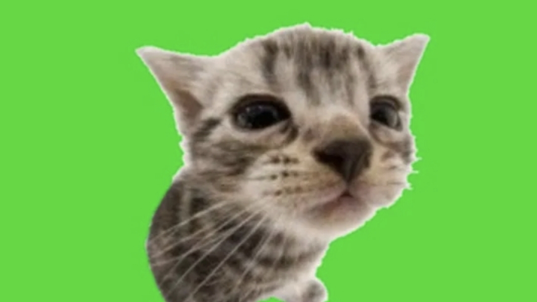 31-12-2025🌲Видео от Пелагеюшки 🌲🌲 смотреть онлайн