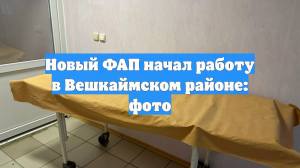 Новый ФАП начал работу в Вешкаймском районе: фото
