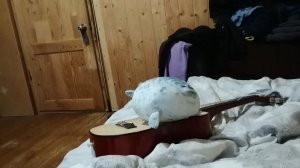 С наступающим новым годом !