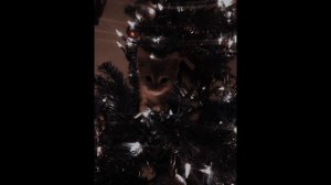 ИТОГИ 2025 ГОДА! | У меня Новый Год через два часа, хех [22:14].