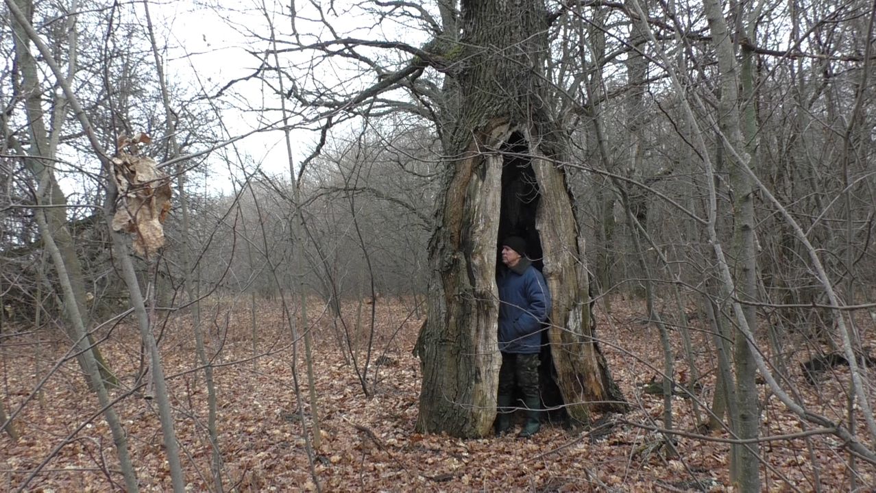 закрытие дачного сезона.2025г.