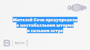 Жителей Сочи предупредили о шестибалльном шторме и сильном ветре
