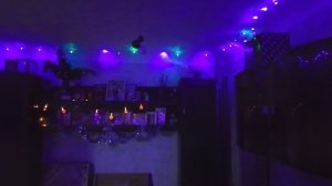 Квартиру украсили, к празднованию Нового Года готовы!