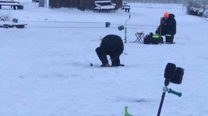 поимка форели на активную снасть