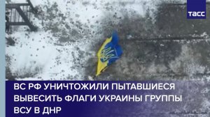 ВС РФ уничтожили пытавшиеся вывесить флаги Украины группы ВСУ в ДНР