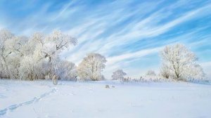 Трансляция богослужения Новоапостольской Церкви, г.Хабаровск, 4.01.2026, 3:00 мск