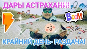 ДАРЫ АСТРАХАНИ!🐟 #рыбалка #fish #fishing #природа #отдых #рыба #big fish #шок #Жерех #Отпуск 🎣🎣🎣