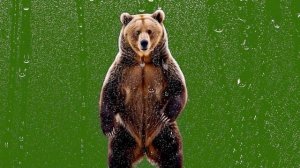 ПЕРЕХОД- Мишка хулиган_encoded