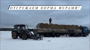 Декабрьский обзор хозяйства!Сделали узи Герефордам! Пополнение у овец, продаем Баранчиков!