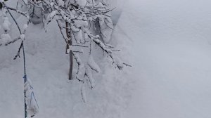 31 декабря нас в плен взял снег