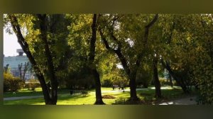 Видео. Песня "Рыцарь". Категория (+14).