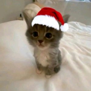 ломаем кубик.