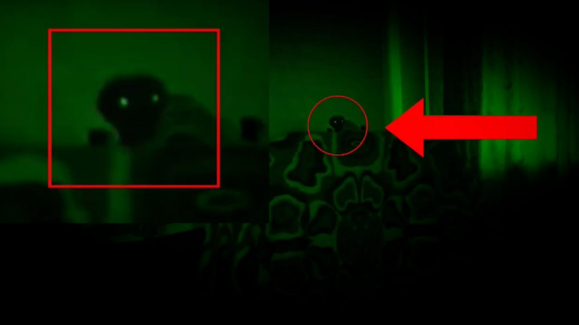 Призрак в доме или инопланетянин снятый на камеру | Страшно смотреть онлайн