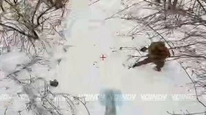 СВО Запорожское направление