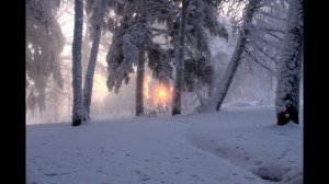 Мы с тобой красивые («Лёгкий снег»)