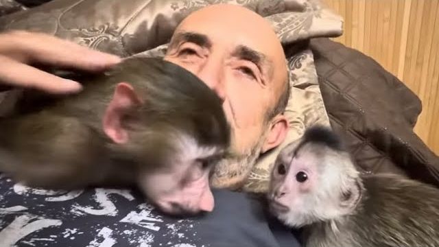 Анфиса с Финей папу ДОСТАЛИ, а потом помирились и даже поцеловались) смотреть онлайн