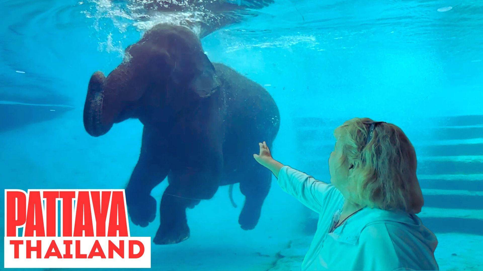 Лучший зоопарк Таиланда? Семейная поездка в Каокео рядом с Паттайей смотреть онлайн