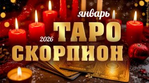 Скорпион Таро январь 2026