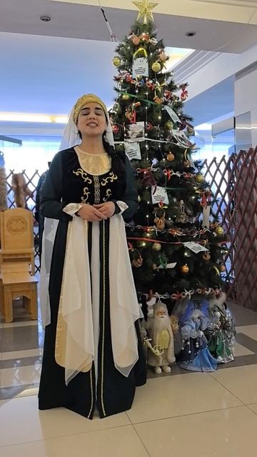 14. Поздравление земляков с наступающим Новым годом