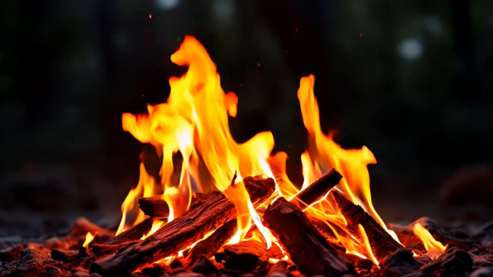 Костёр ночью в лесу смотреть онлайн