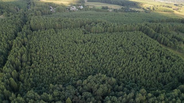 Земельный участок 8,5 га в Костромском районе под рекреацию смотреть онлайн