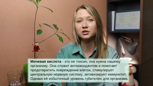 Что есть летом? Главные принципы летнего питания! смотреть онлайн