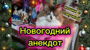 Новогодний анекдот. Кошки с озвучкой.