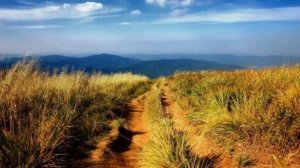 Одиночество