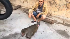 Люся ВСЯ НА НЕРВАХ, толи на меня напасть, толи за Владом ухаживать, толи за Анфисой смотреть)))